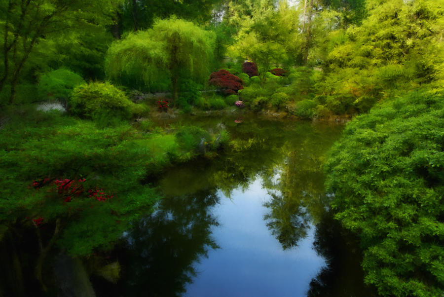 Garden Reflection-1_Painting